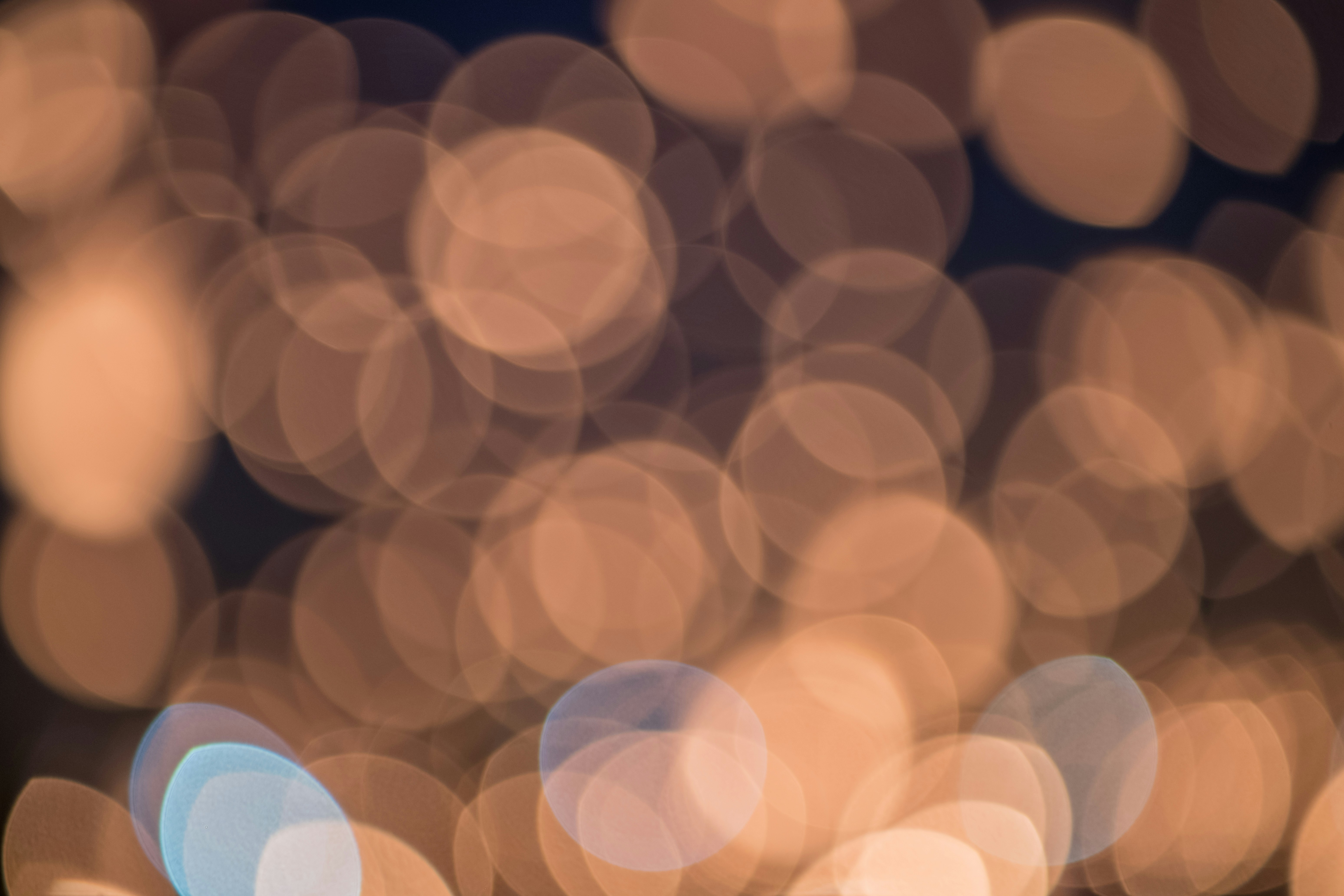 Photo by dark_rush_photography