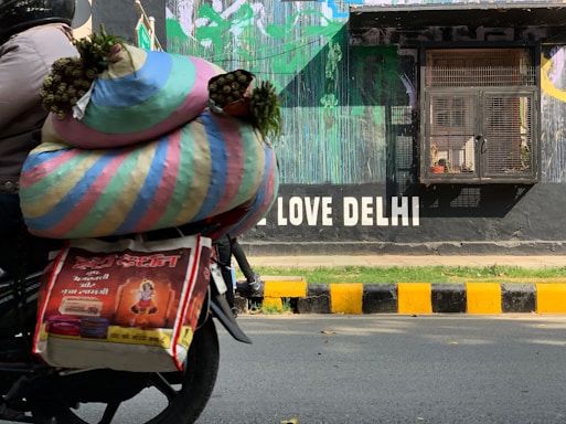 A motorcycle is carrying large, colorful woven bags filled with goods and small bouquets of greens. The background features a vibrant mural on a wall with the words 'LOVE DELHI' in bold white letters. There is a barred window next to the mural and a black and yellow striped curb. The scene is illuminated by sunlight, giving it a lively urban street vibe.
