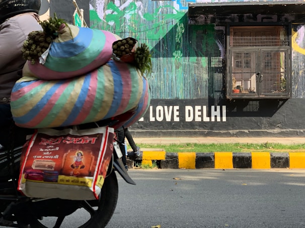 A motorcycle is carrying large, colorful woven bags filled with goods and small bouquets of greens. The background features a vibrant mural on a wall with the words 'LOVE DELHI' in bold white letters. There is a barred window next to the mural and a black and yellow striped curb. The scene is illuminated by sunlight, giving it a lively urban street vibe.