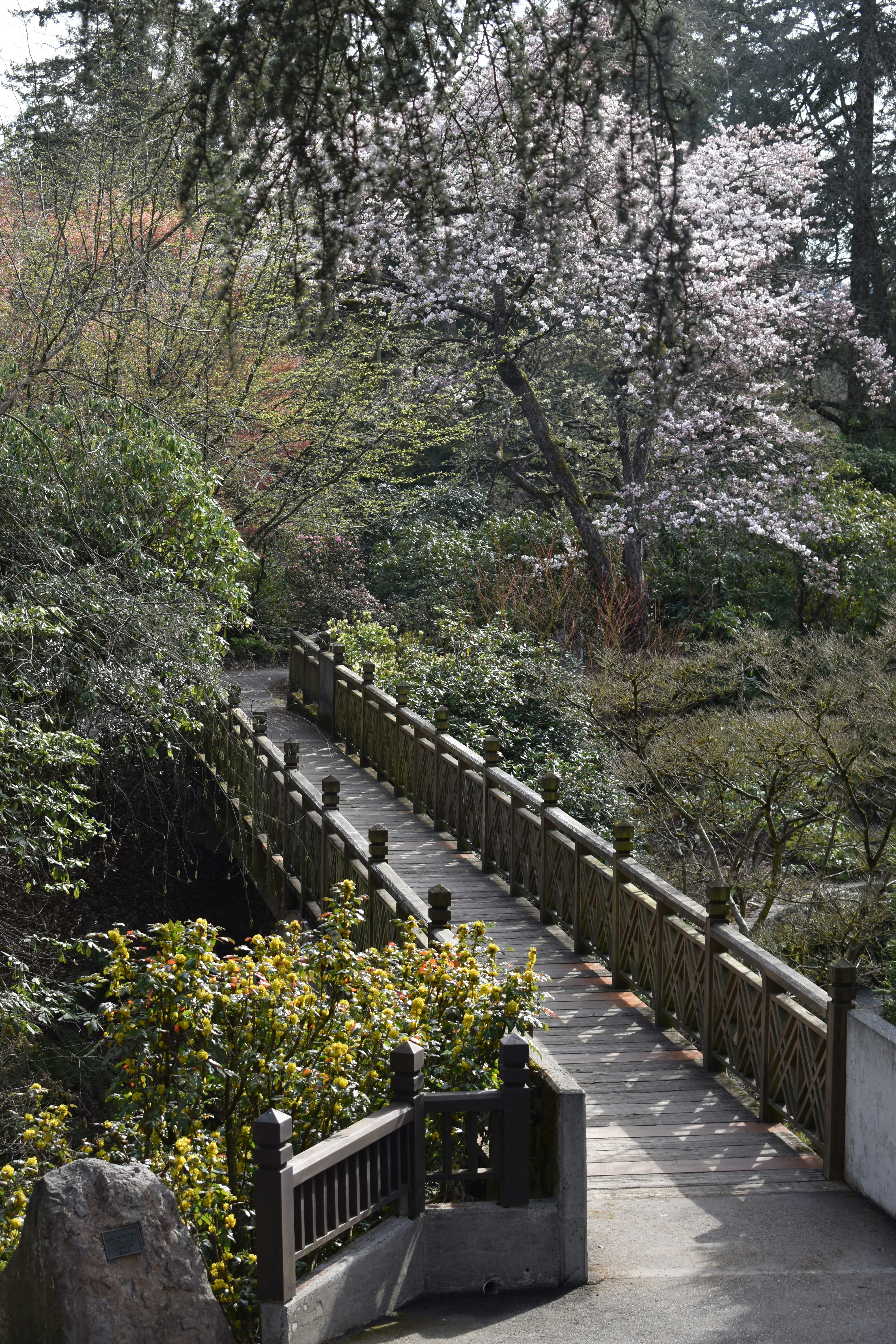 Photo by pictures102