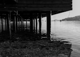 A black and white photograph taken from beneath a wooden pier. The wooden structure is supported by multiple vertical pillars that extend into the calm, reflective water. In the background, there are a few boats docked or anchored on the water. The shoreline is visible in the distance with some buildings and trees on a hillside.