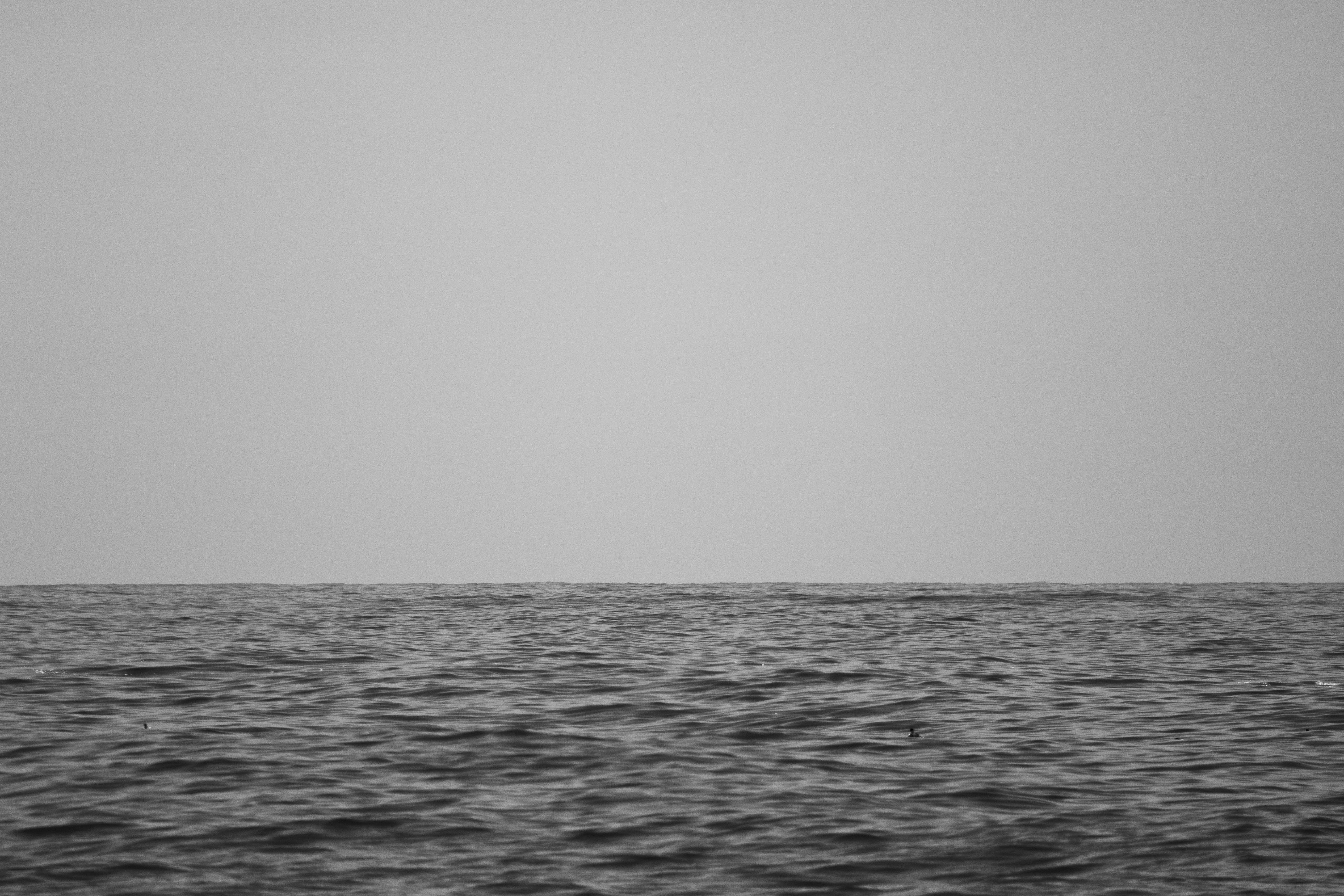 graues Gewässer