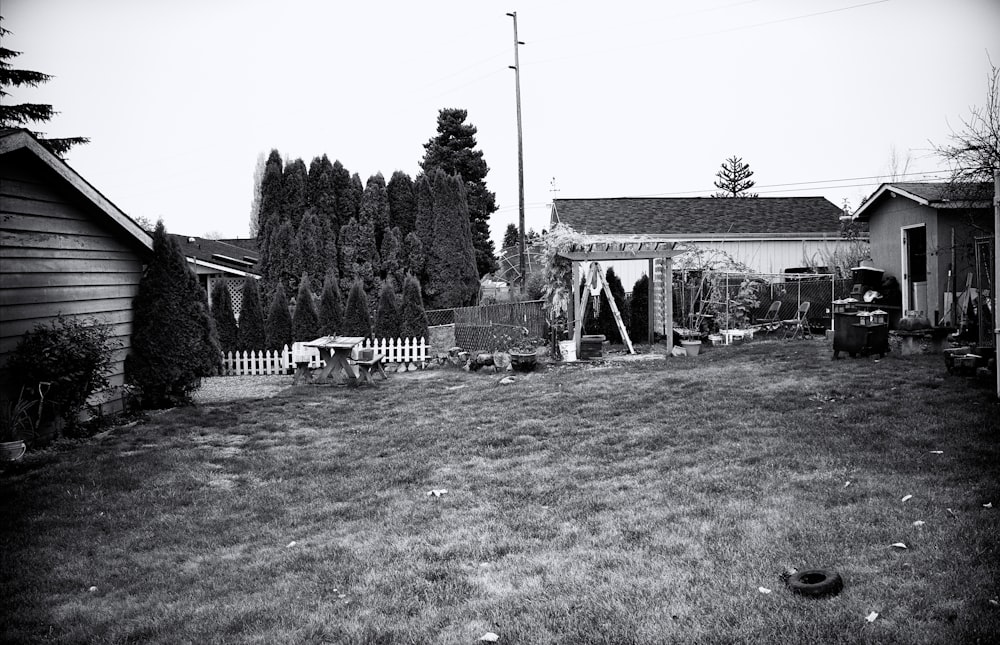 a black and white photo of a yard