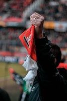 Close-up of a fan holding a scarf and celebrating a goal with the team.