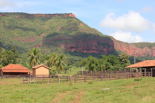 A rural landscape featuring a few small houses with red tile roofs surrounded by wooden fences. Tropical palm trees and lush green grass are in the foreground, with a dense forest and a large rocky, green hill in the background. The sky is partly cloudy.