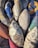 A collection of old, deflated sports balls, including footballs and volleyballs, arranged closely together. The balls display signs of wear, with faded colors and frayed surfaces. Text from brands such as 'Cosco' and 'Vega' is visible on some of them.