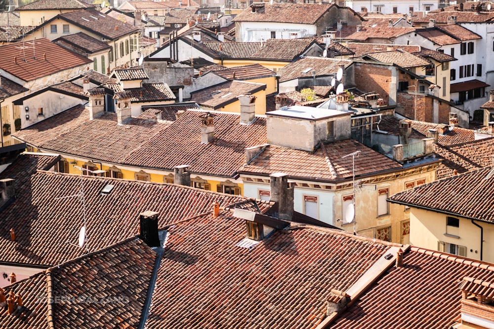 aerial photo of houses