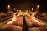 A dimly lit wine cellar with rows of wooden barrels stacked along each side. The stone walls and warm lighting create a rustic and cozy atmosphere.