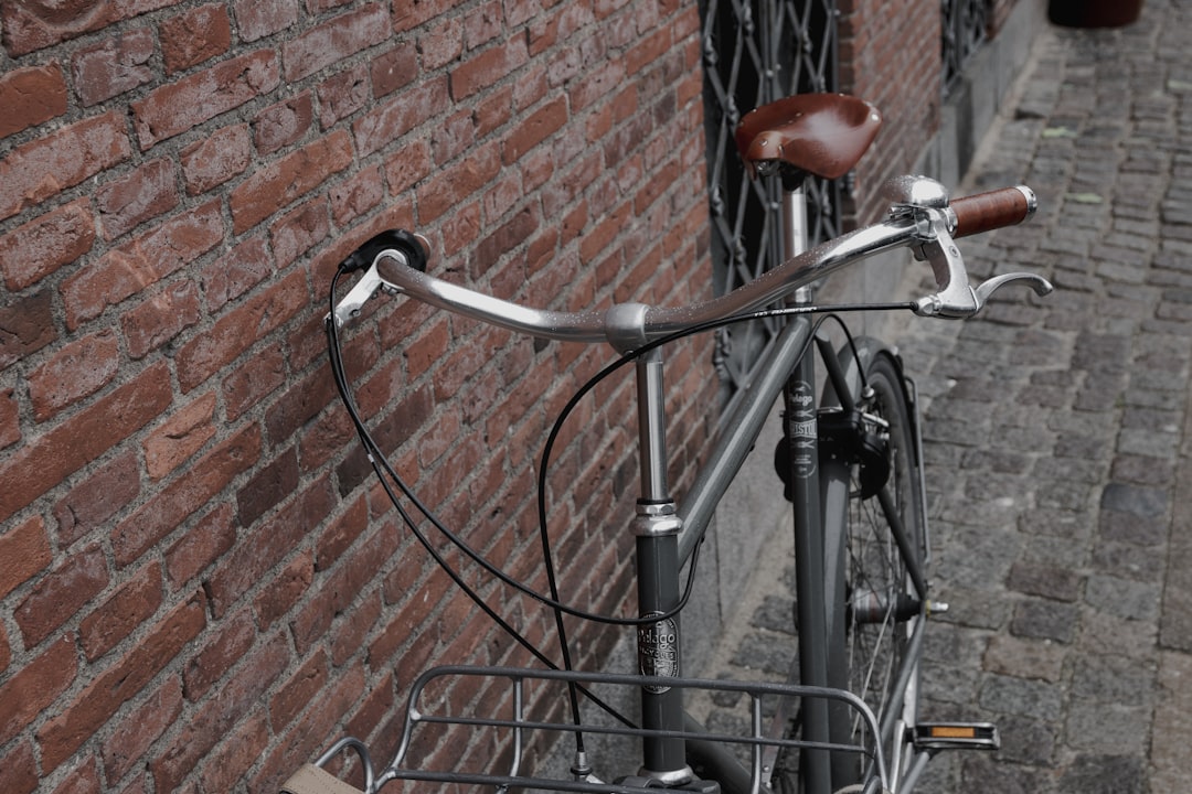 Bird spoke. Велосипед Gray. Grey Bike. Велосипед на сером городе фото.
