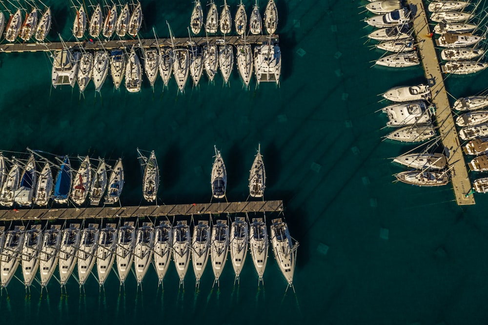 white boat lot on water