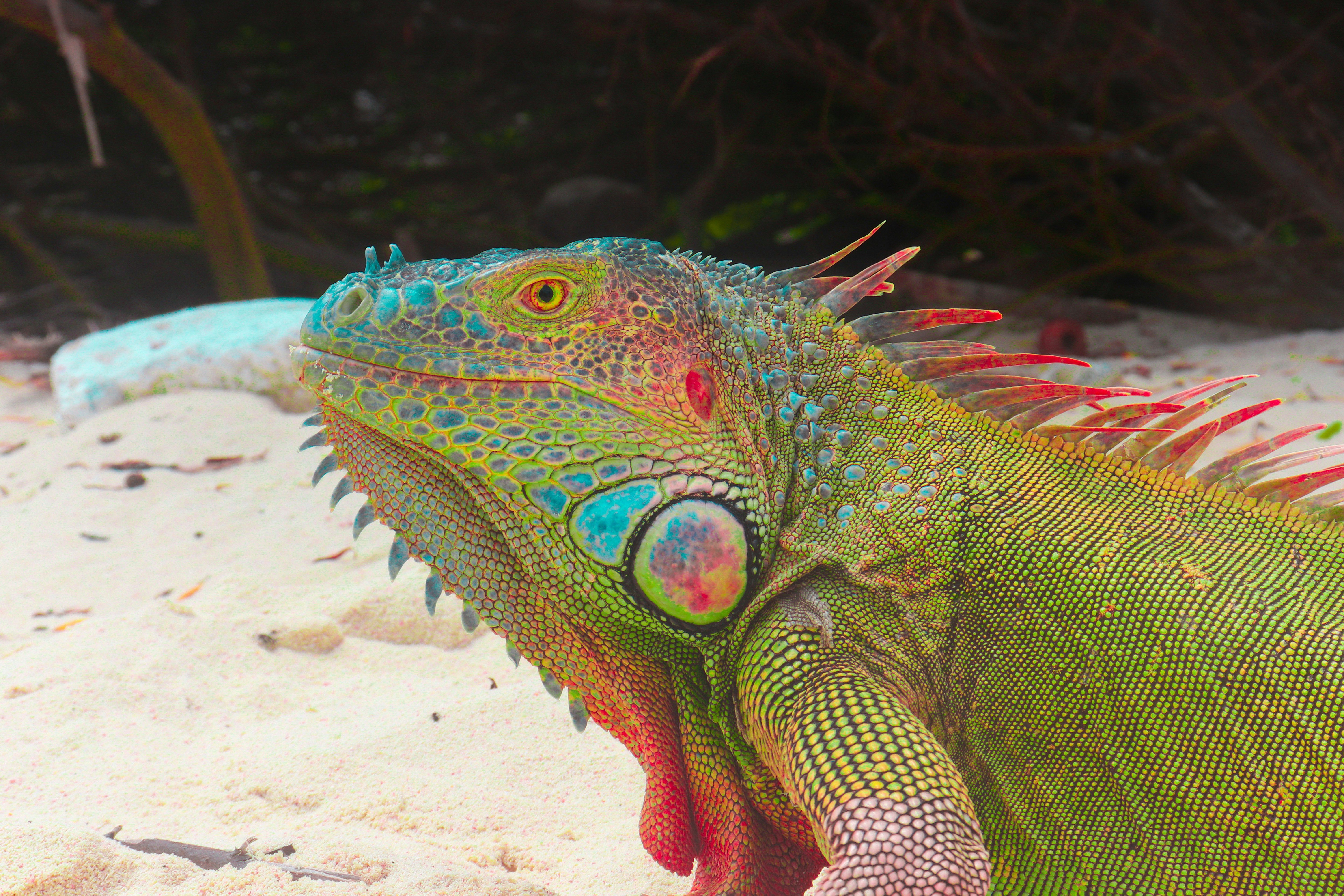 Photo by alejandra_velez29