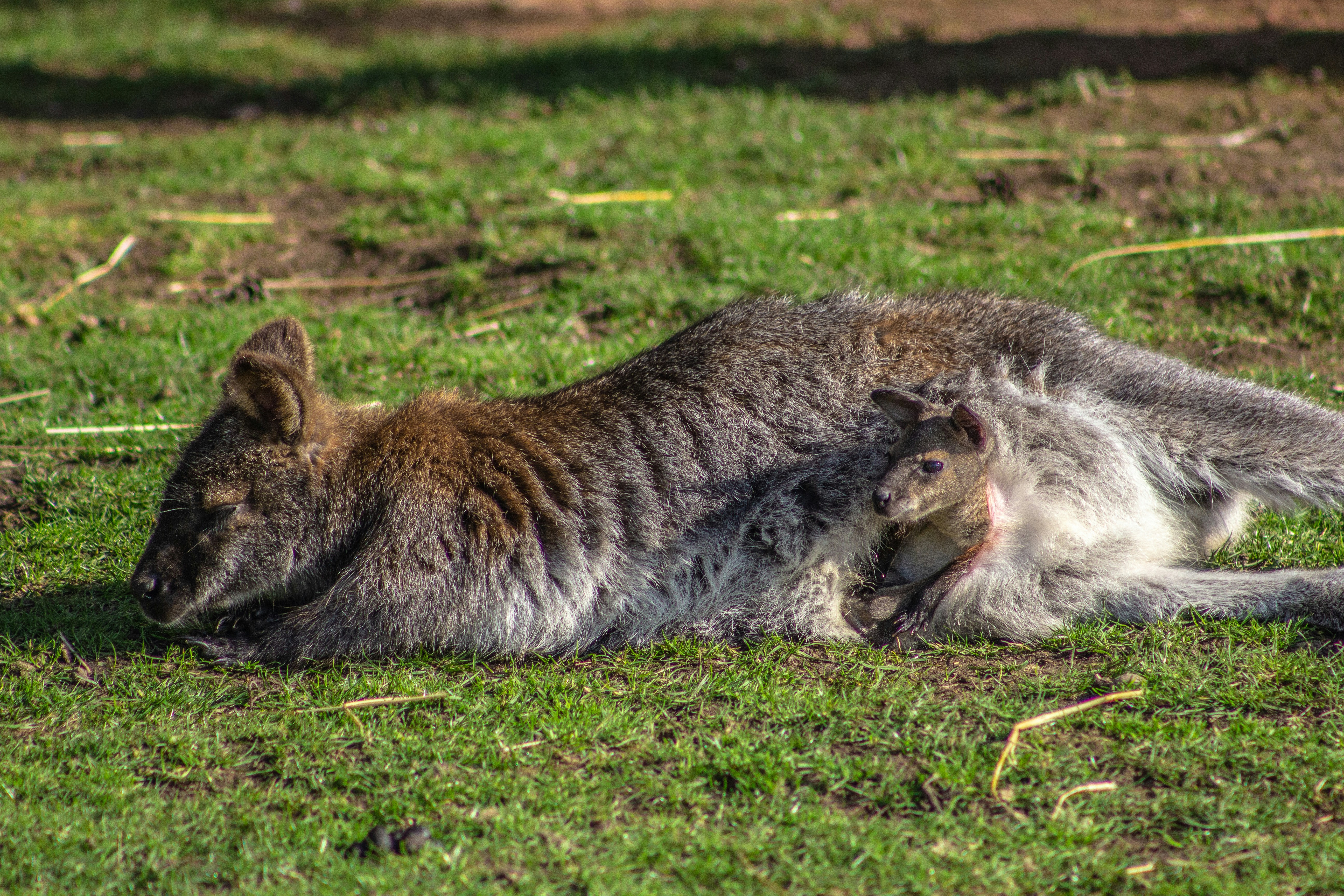 Photo by keepsakes_and_daydreams