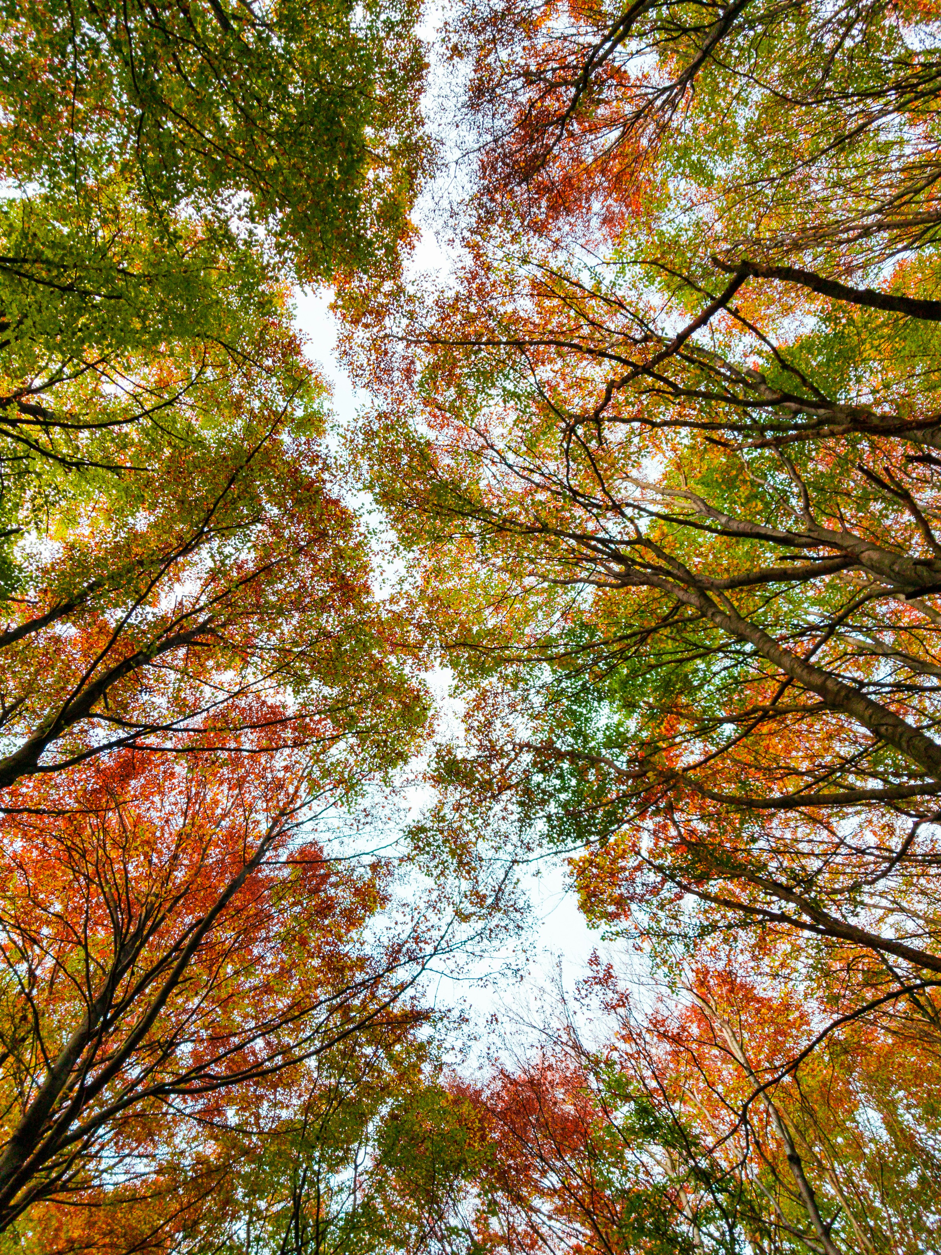 Photo by jn10
