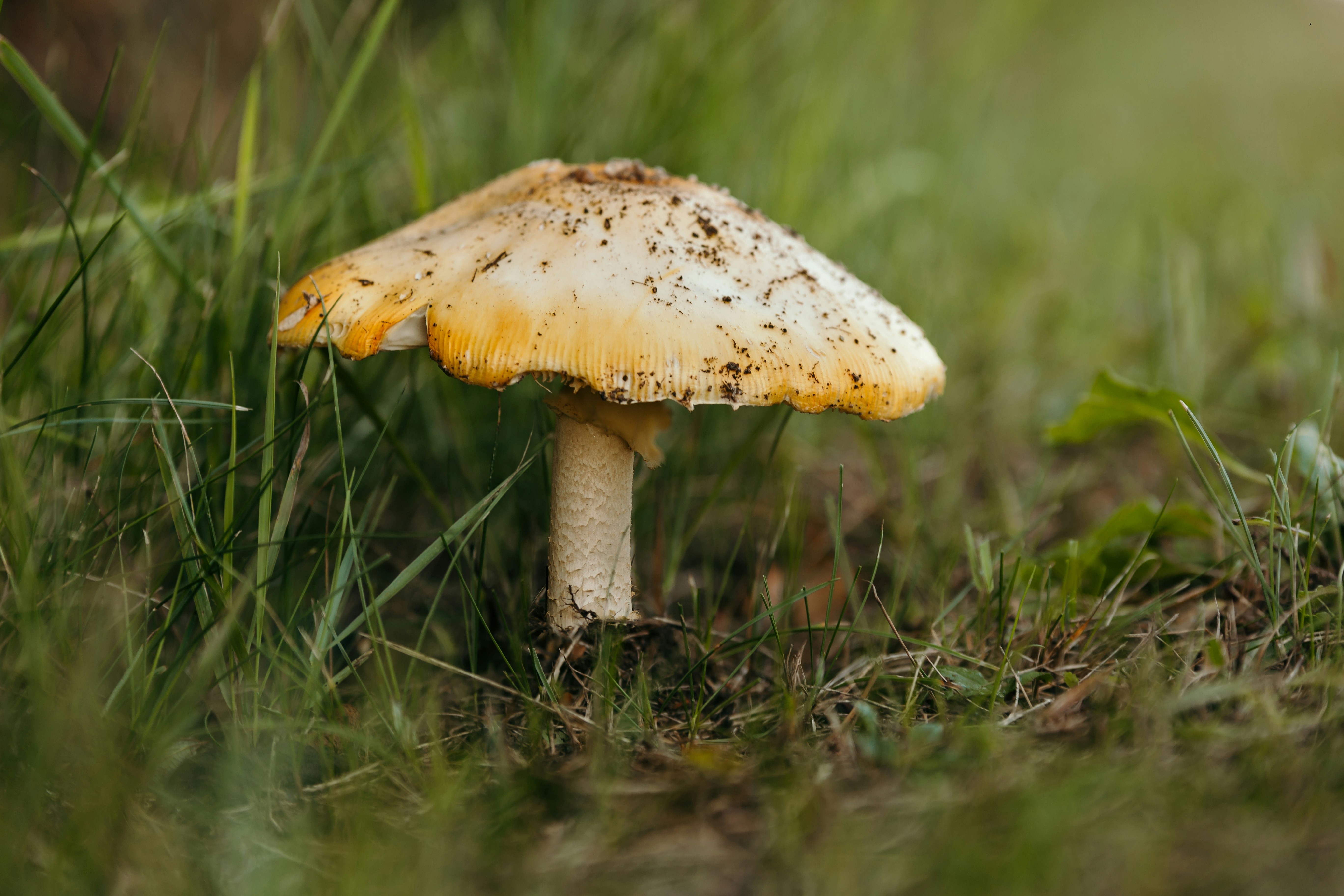 Photo by nicolefritz