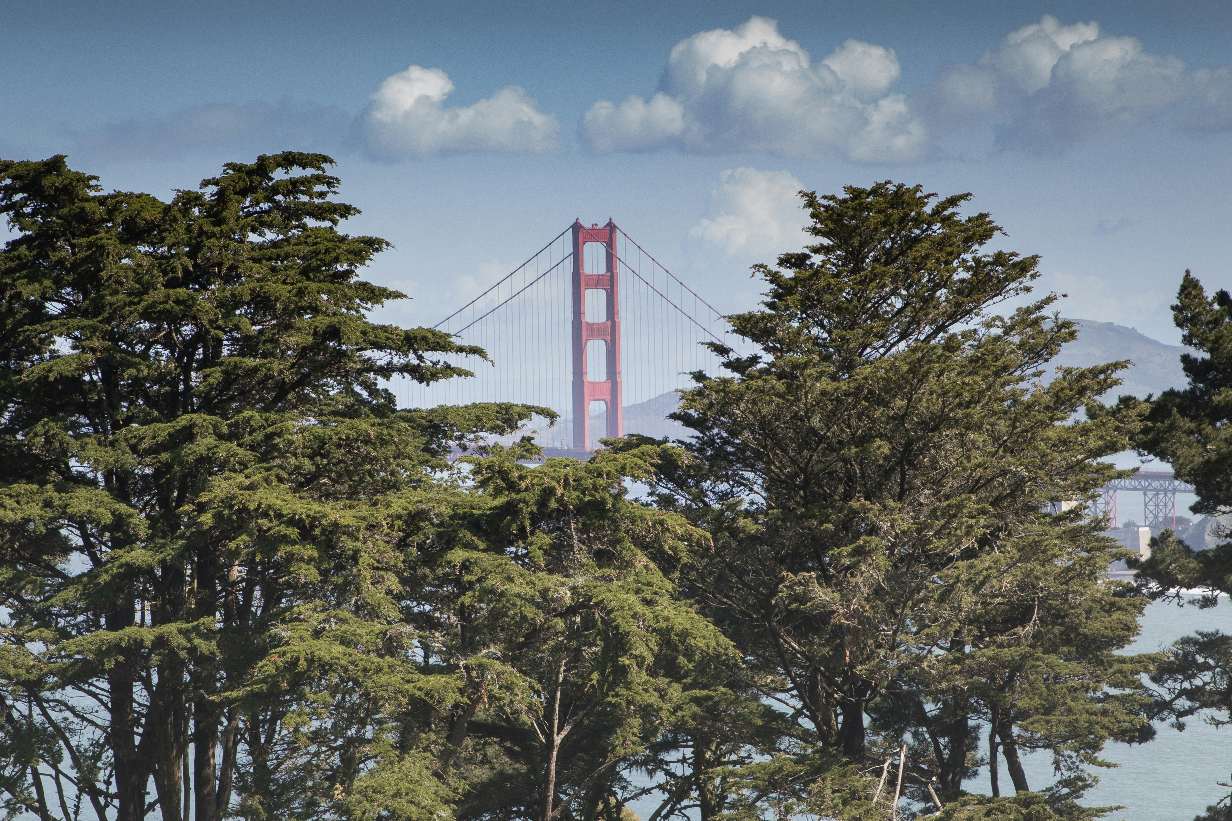 Golden Gate Bridge through forest during daytime