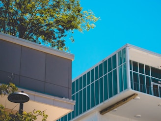 Modern architectural structures with clean lines and large glass windows are surrounded by lush green foliage under a bright blue sky.