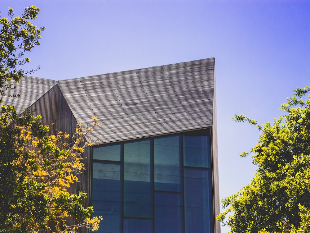 building beside green leaf trees