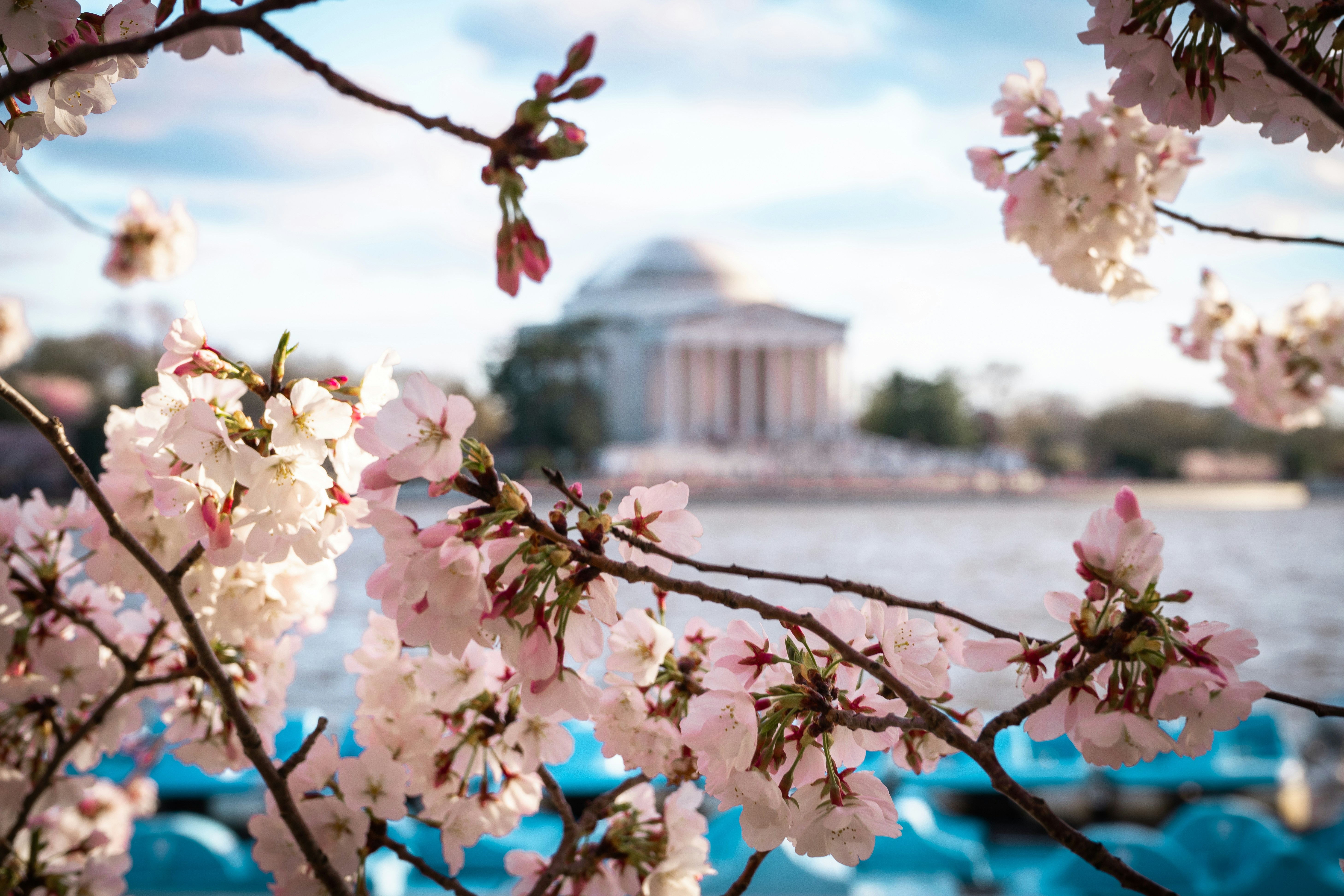 Photo by i_grantwishs