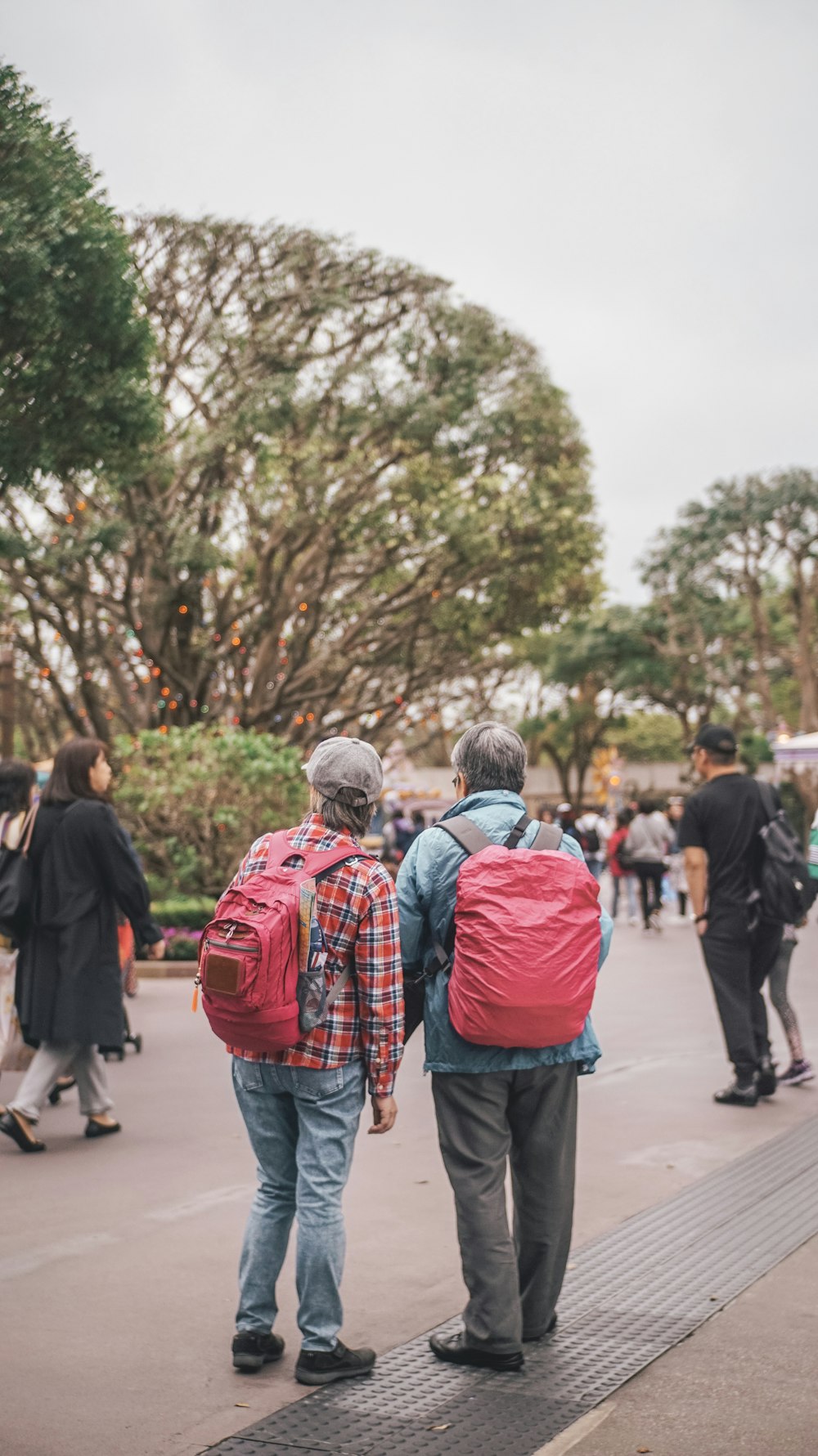 people walking on park