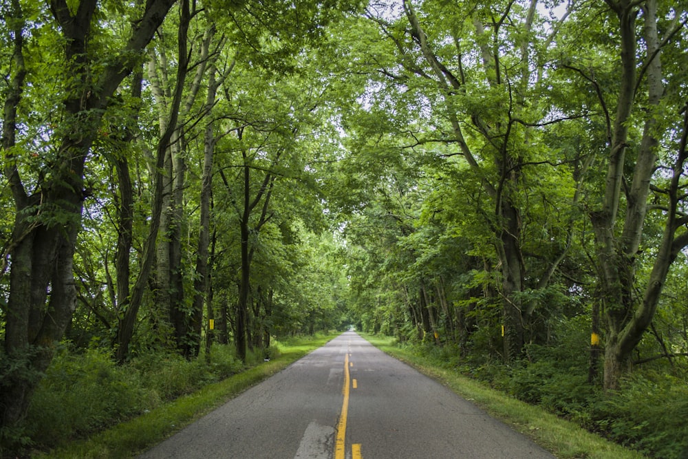 empty road