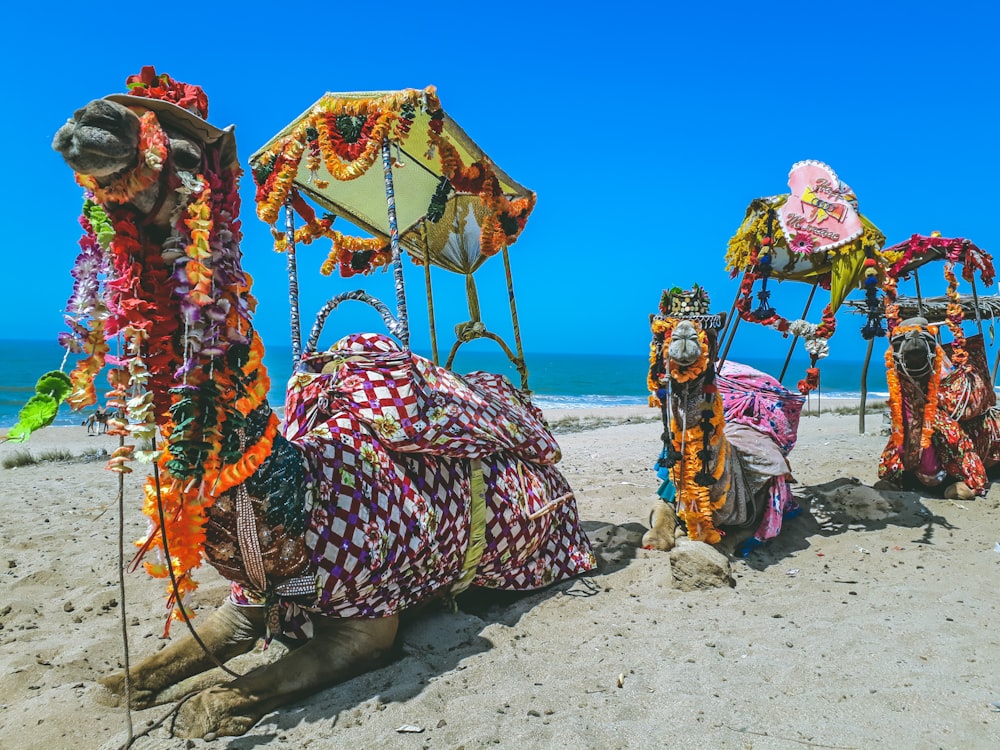 three camels with flowers on head