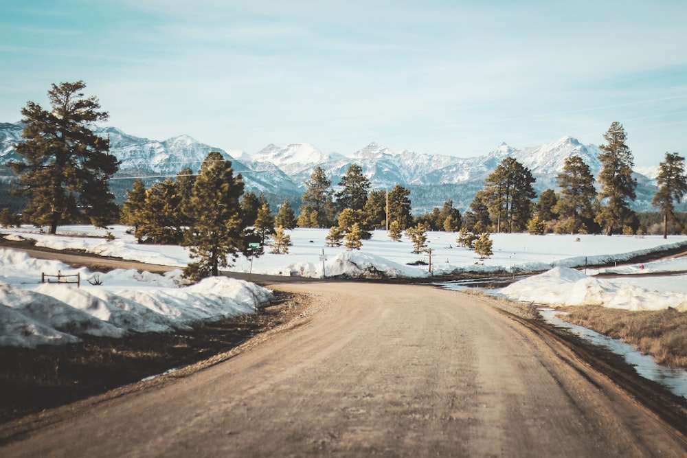 Camino de tierra al lado de un campo de nieve