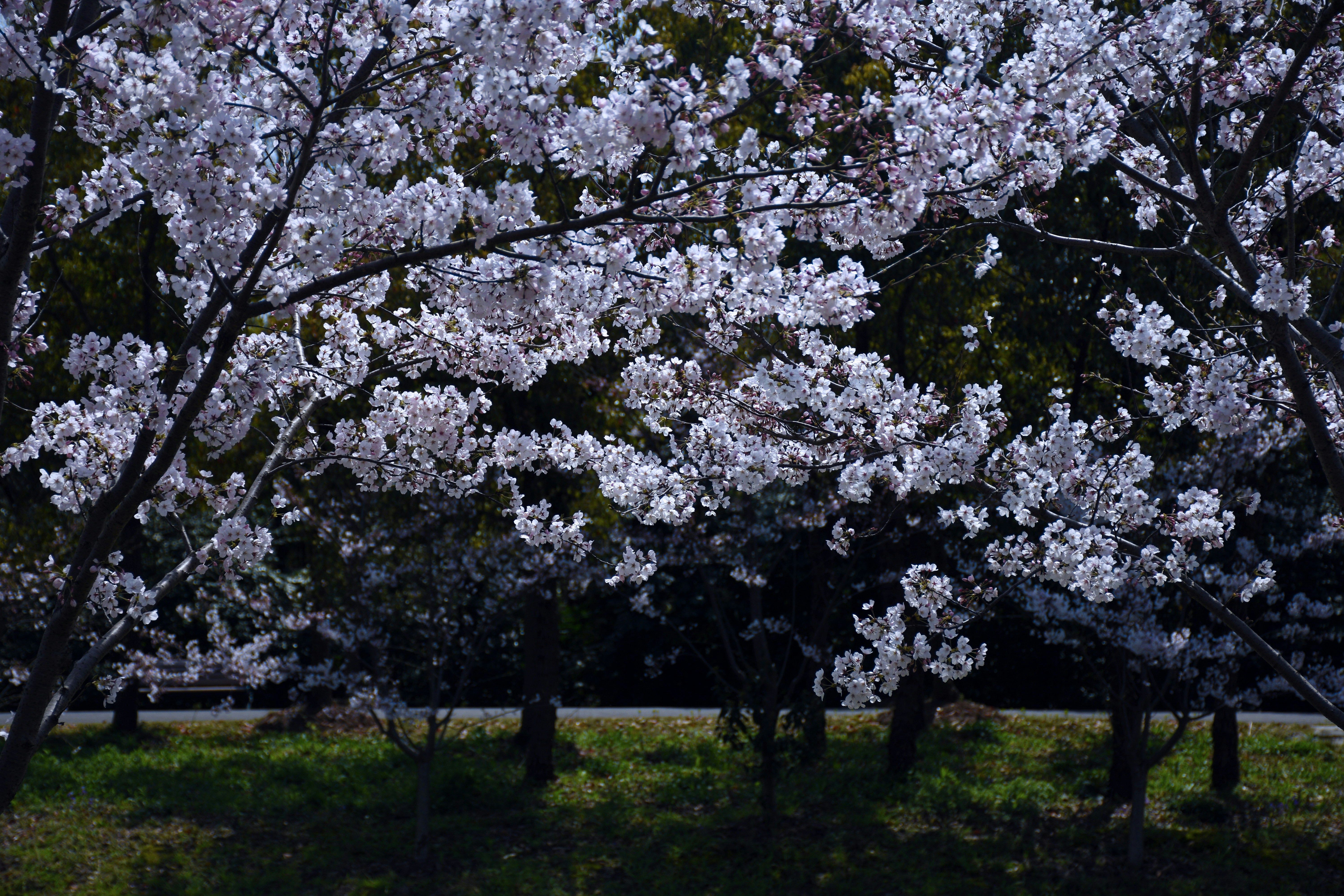 Photo by gregorio_nico