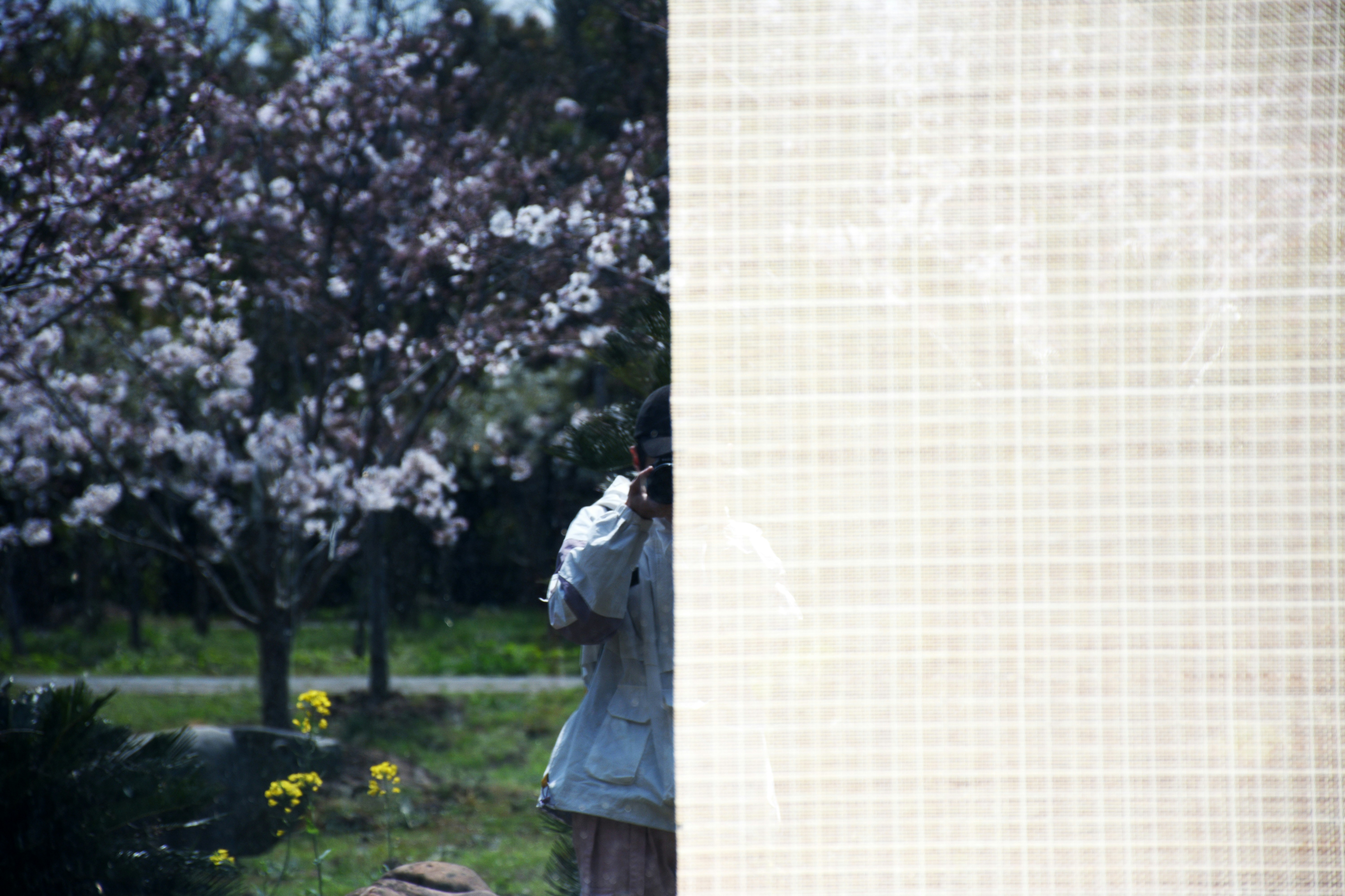 A woman taking a picture through a window photo – Free Apparel Image on ...