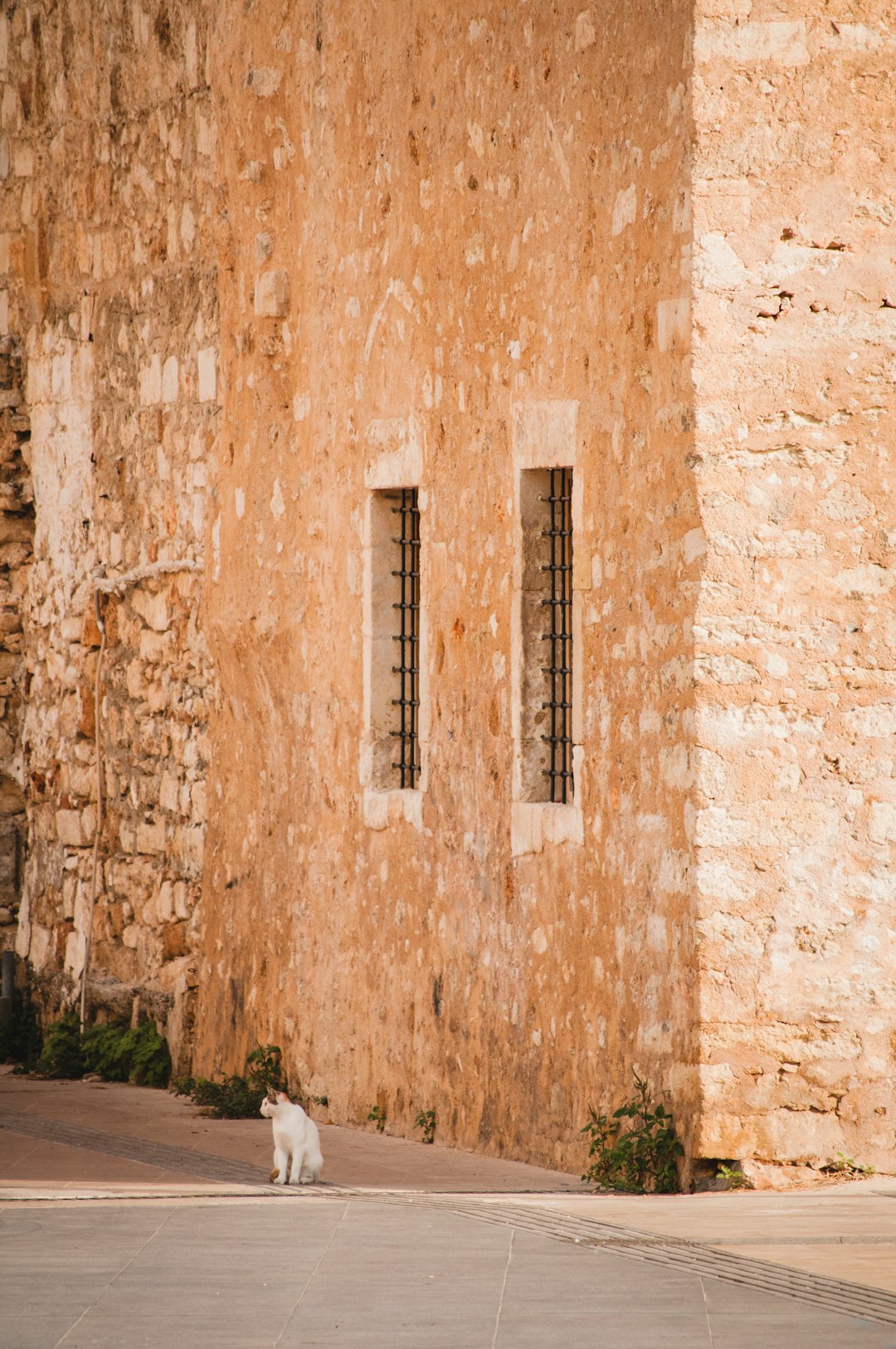 beige concrete building at daytime