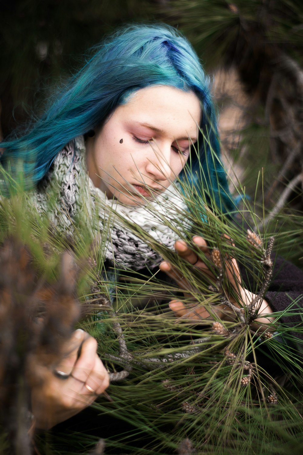 woman touching green pine tree