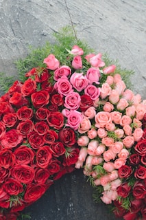 Bright red roses arranged in a heart shape for a romantic occasion