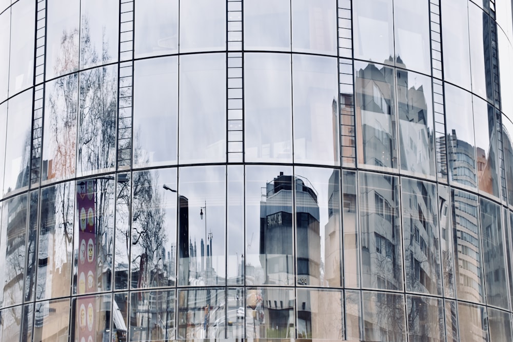 glass curtain building during daytime