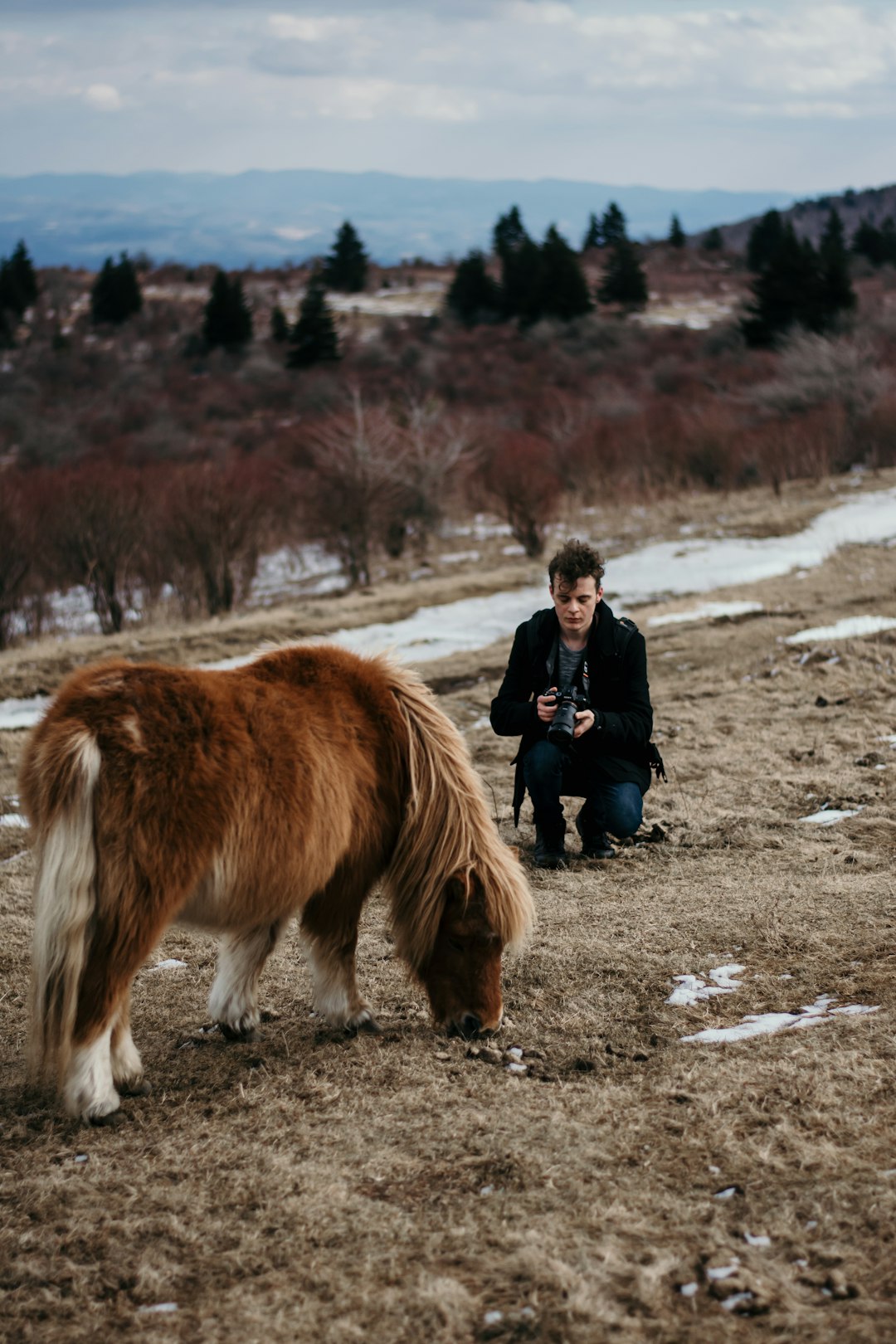 person in front of pony during daytime
