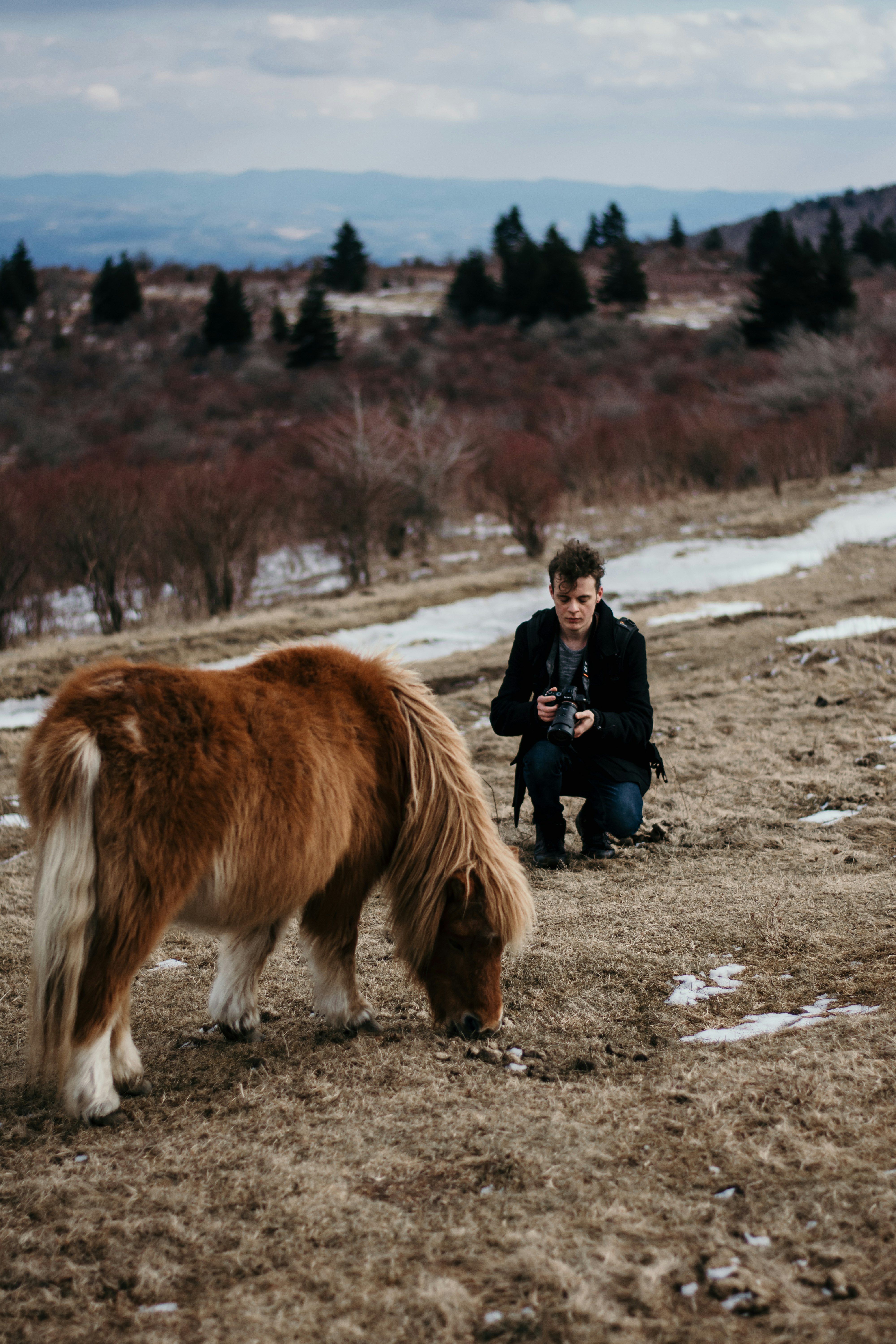 person in front of pony during daytime