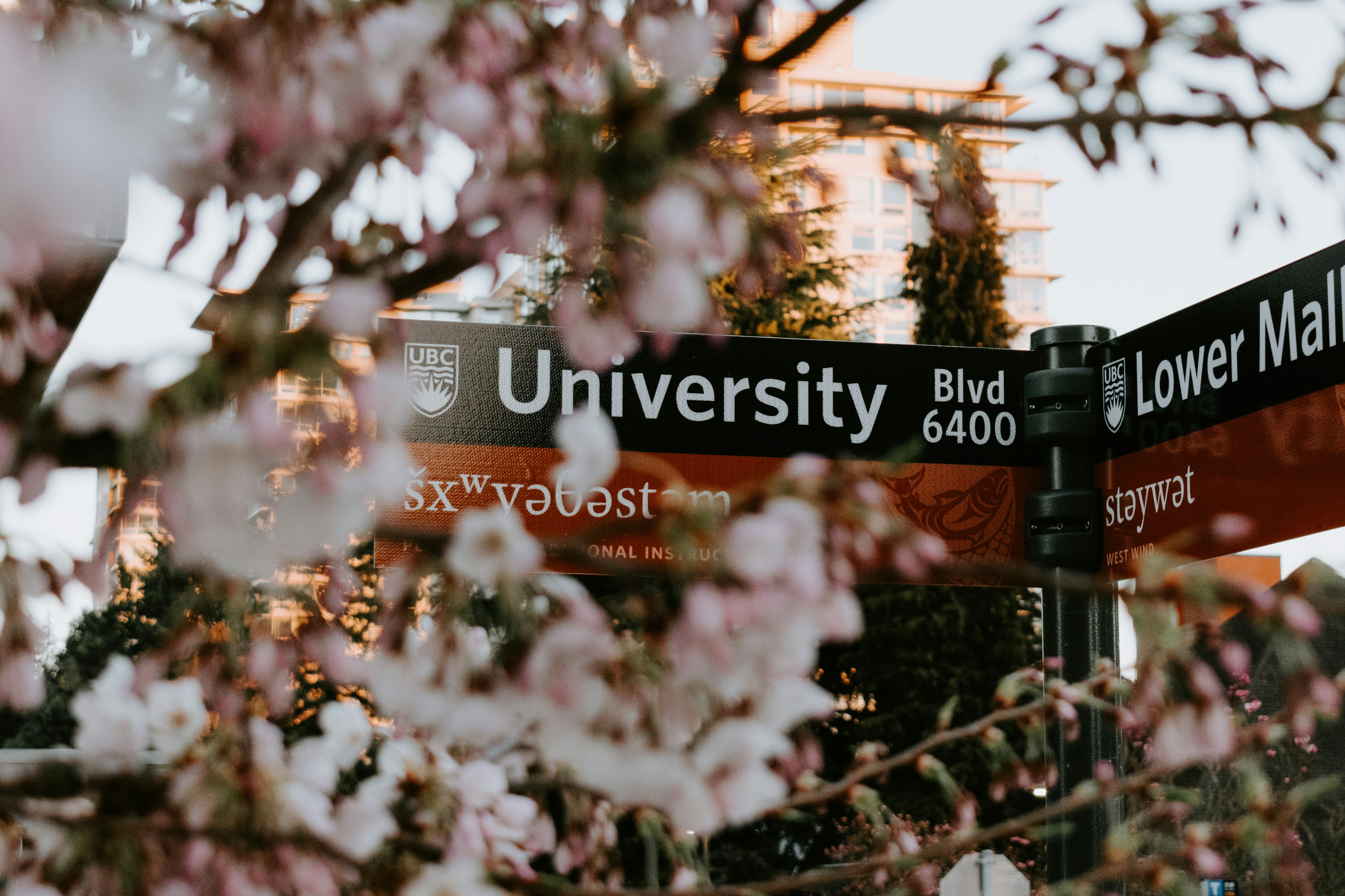 加拿大留学生活