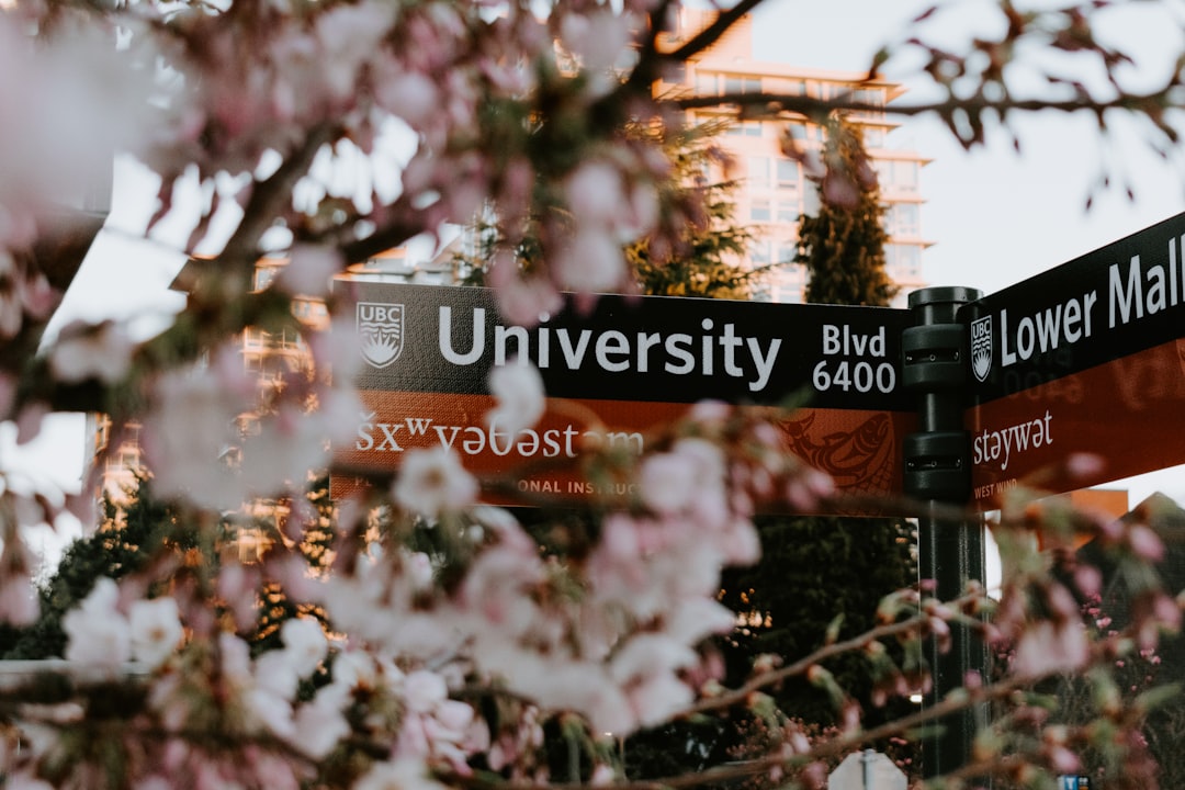 black and red street signage near white petaled flowers