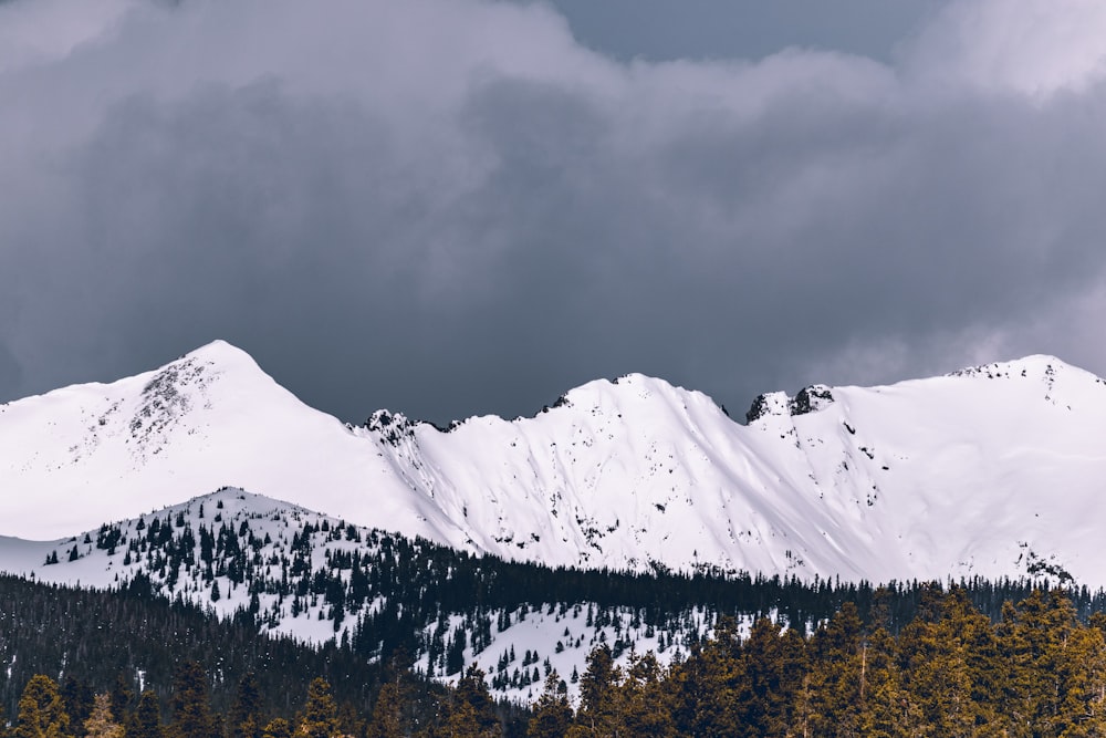 high-rise photo of mountain