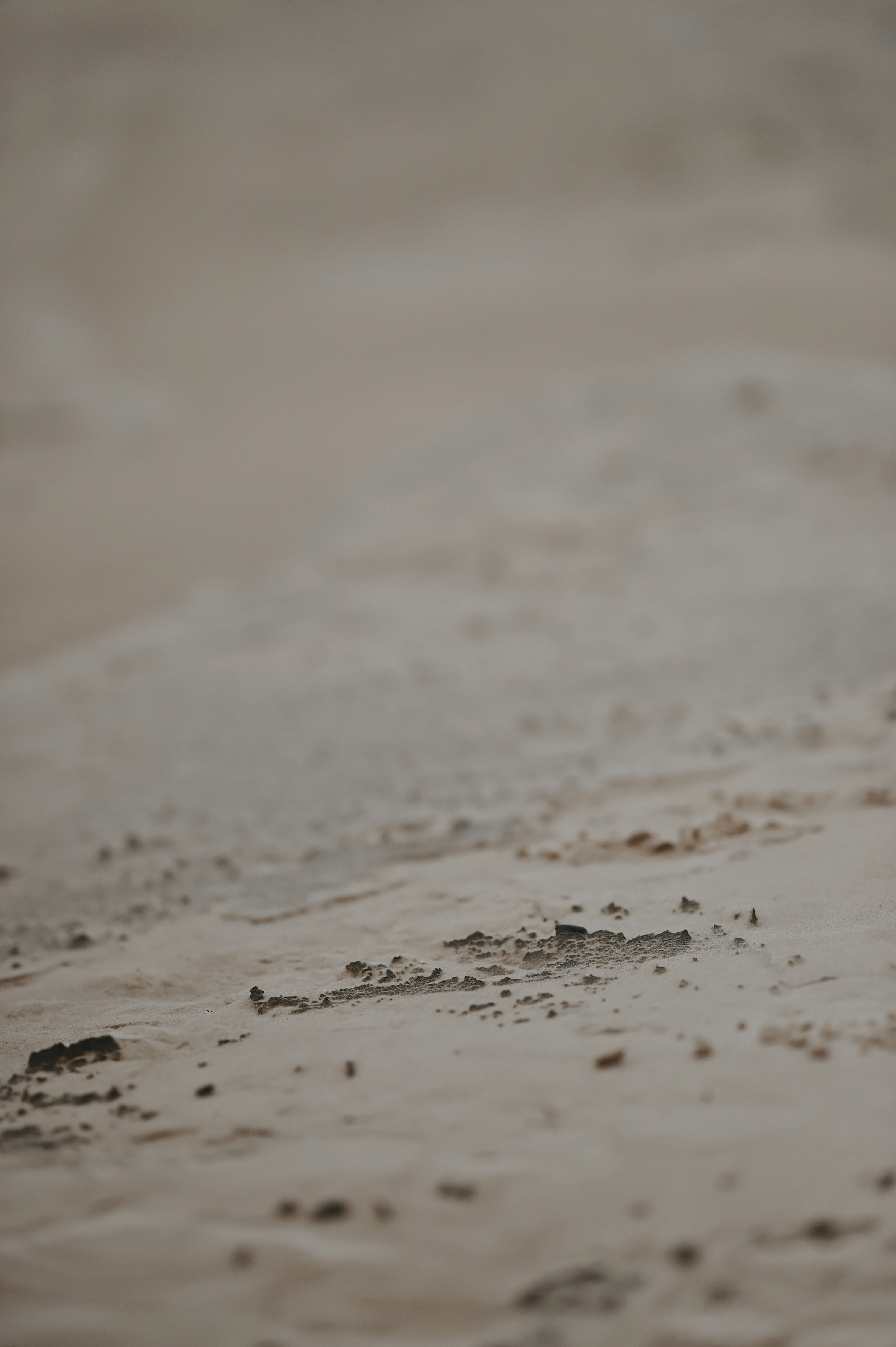 Photo by marijagabaliene