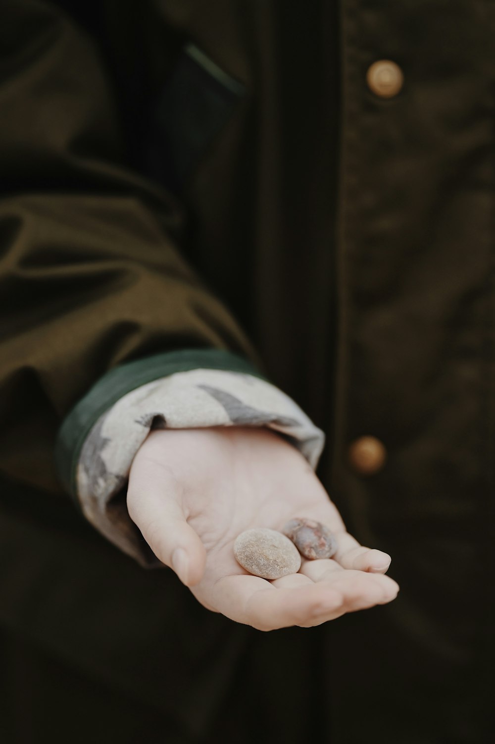 person holding round gold-colored coin