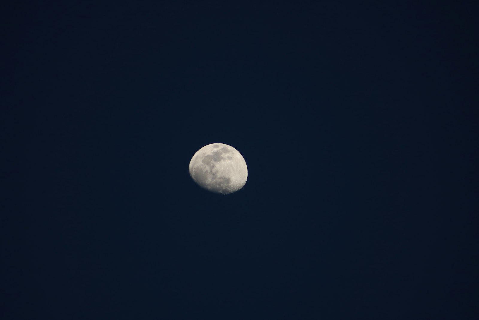 Canon EOS 750D (EOS Rebel T6i / EOS Kiss X8i) + Canon EF 75-300mm f/4-5.6 USM sample photo. Gray moon photography