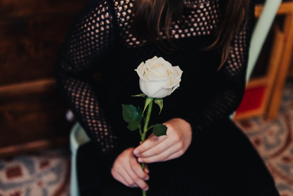 person holding white rose flower