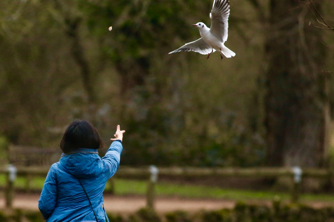 person wearing blue jacket reaching white bird