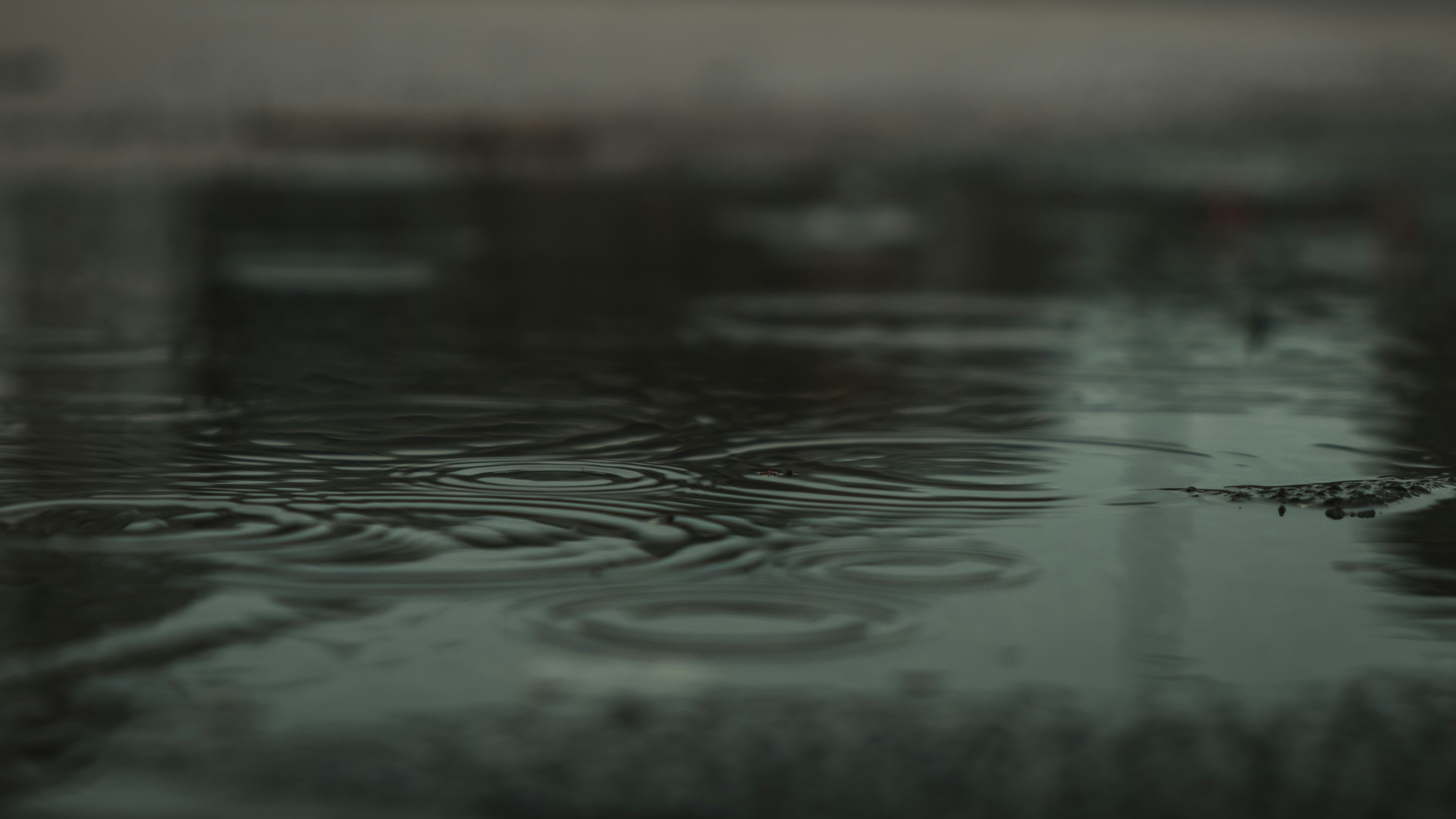 寒九の雨,意味,由来,例文,類語