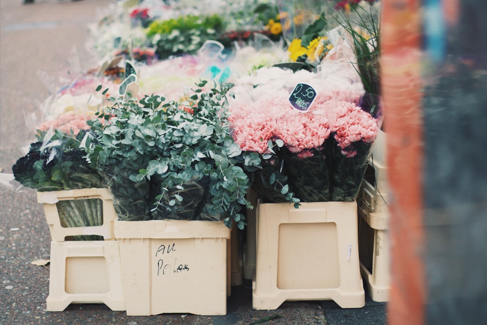 assorted-color flower arrangement in boxes