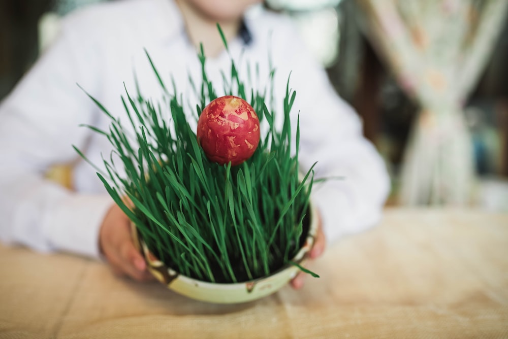 selective focus photo of green plant