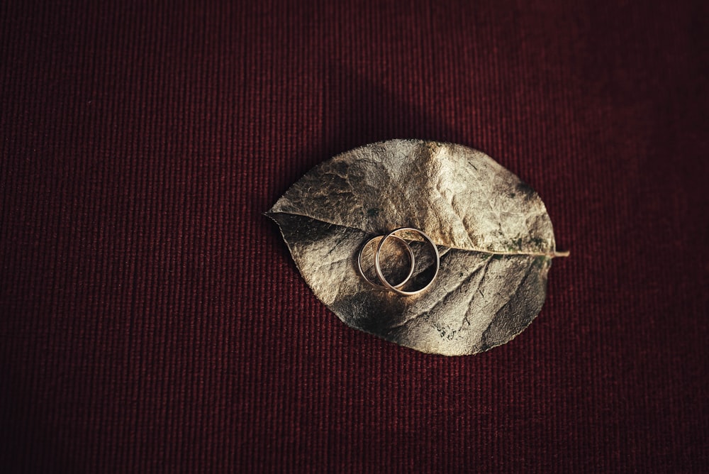 two silver-colored rings on gray leaf