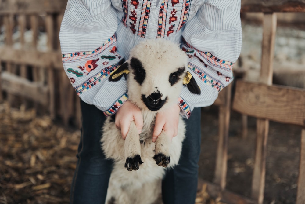 person holding white kid