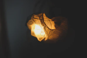 Artistic shot of a 3D printed piece glowing softly under warm light.