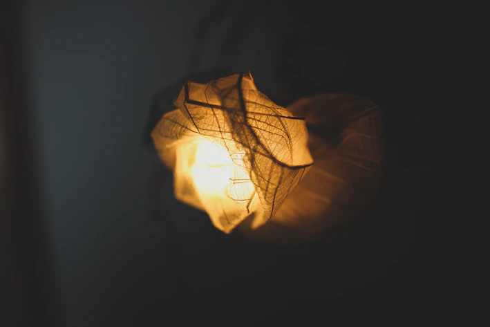 Close-up of a delicate 3D printed lithophane glowing softly in warm light