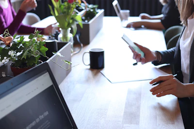 A calm team collaborating in a sunlit room filled with plants.